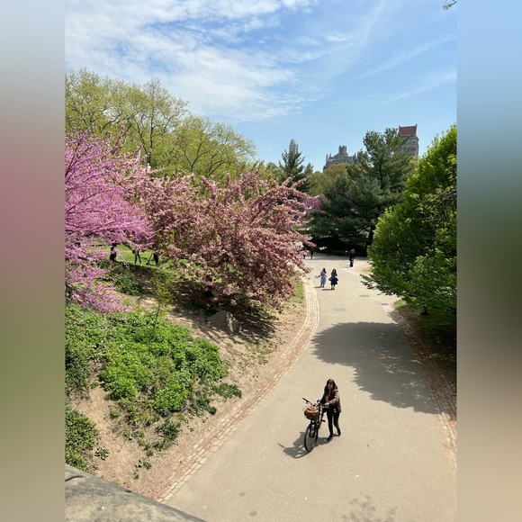 Meet your Posher, Diana. Welcome to my closet! - Picture 14 of 15